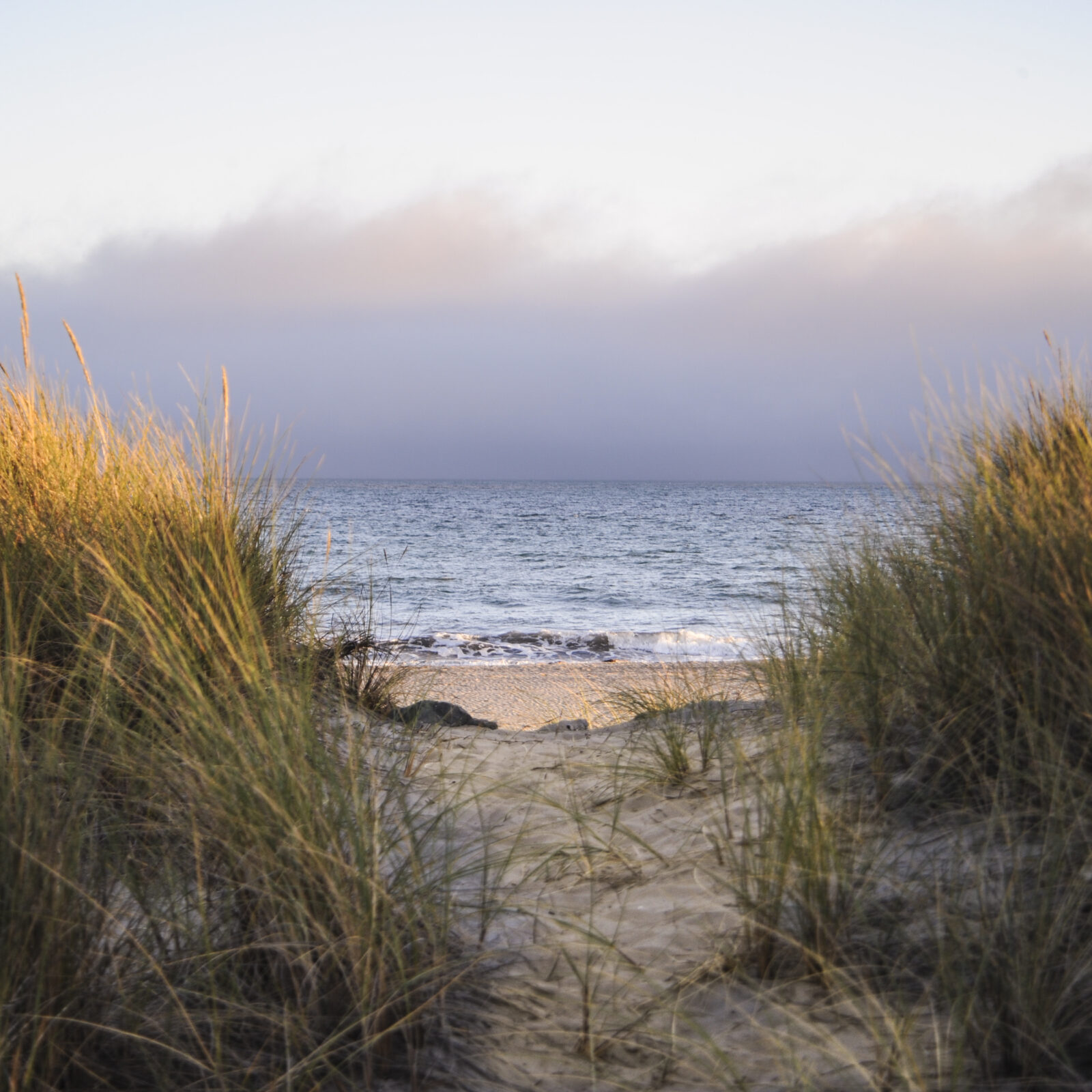 Stinson Beach Pathway