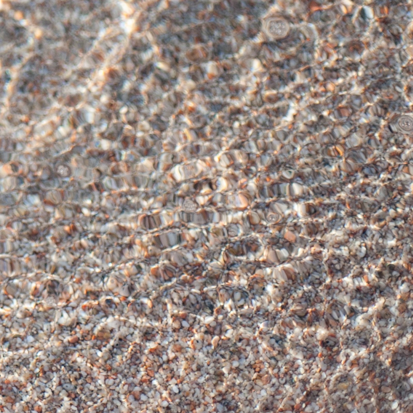Ocean Ripples Over Coarse Sand