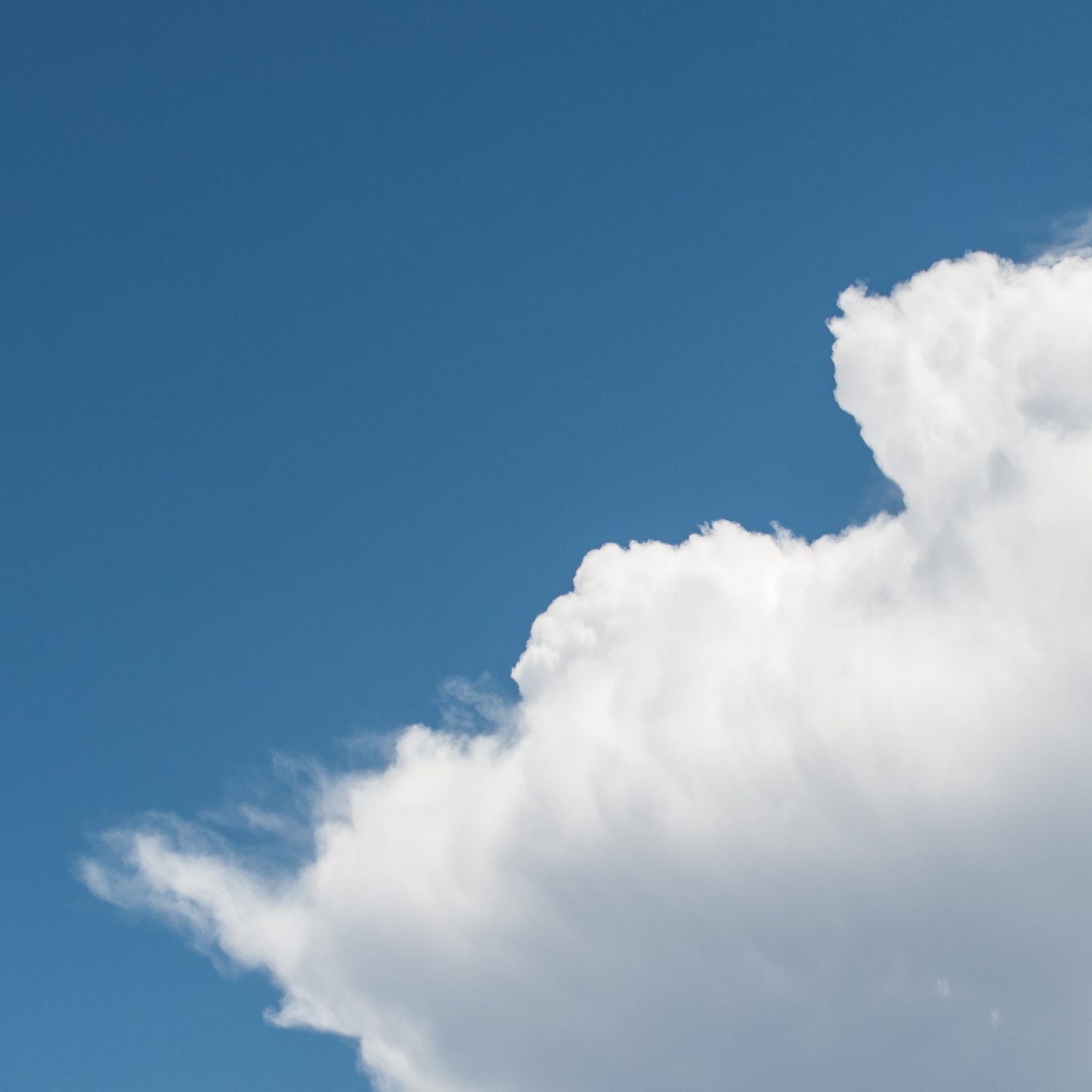 White Cloud Series, 3, Reversed