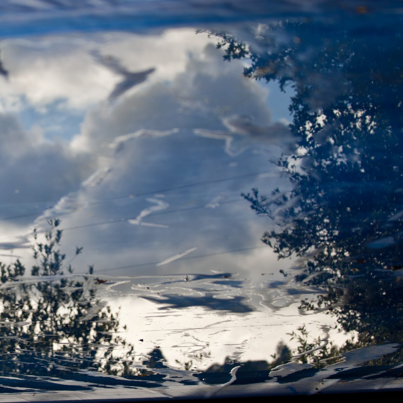 Clouds and Trees Reflection