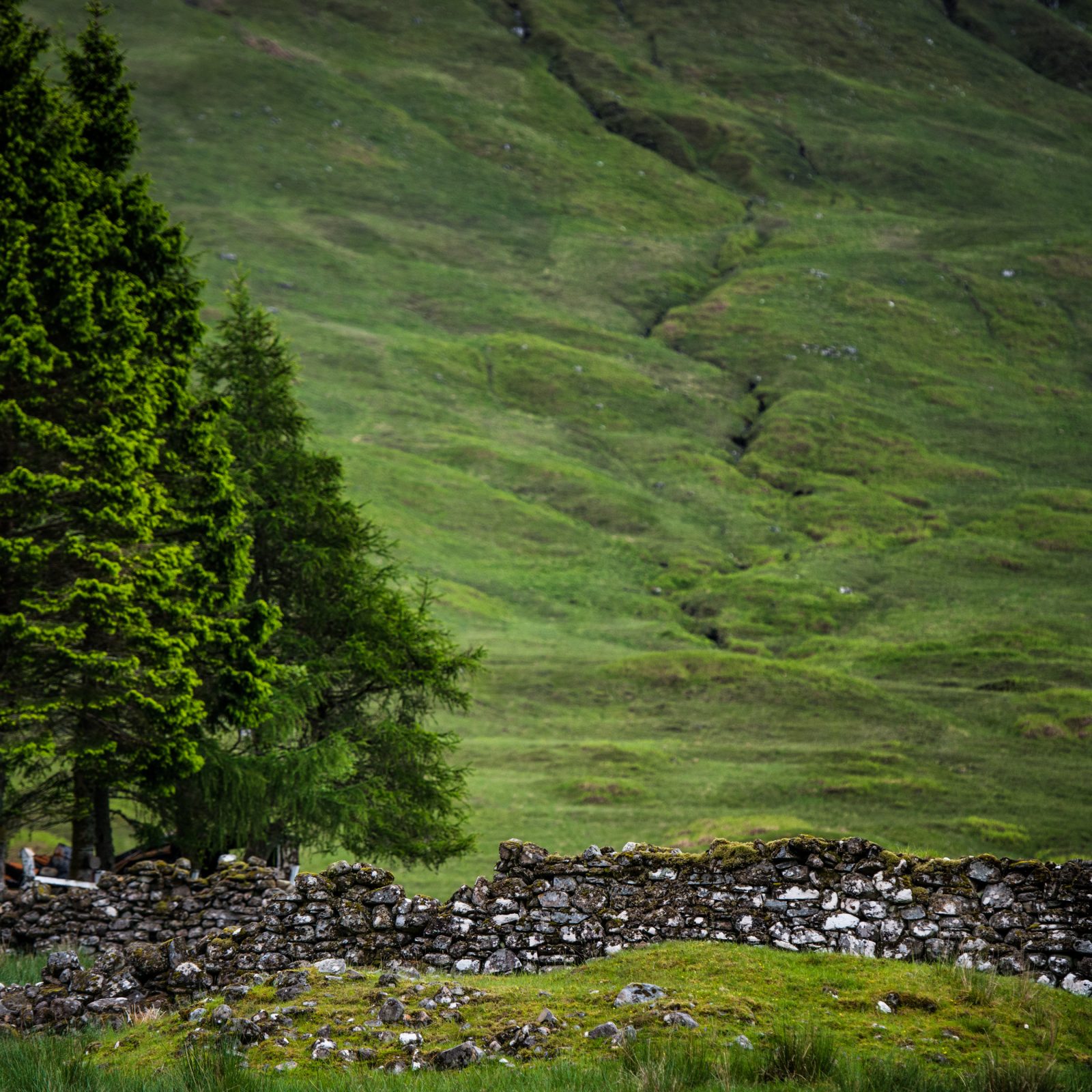 Stone Wall Near Loch Lomond