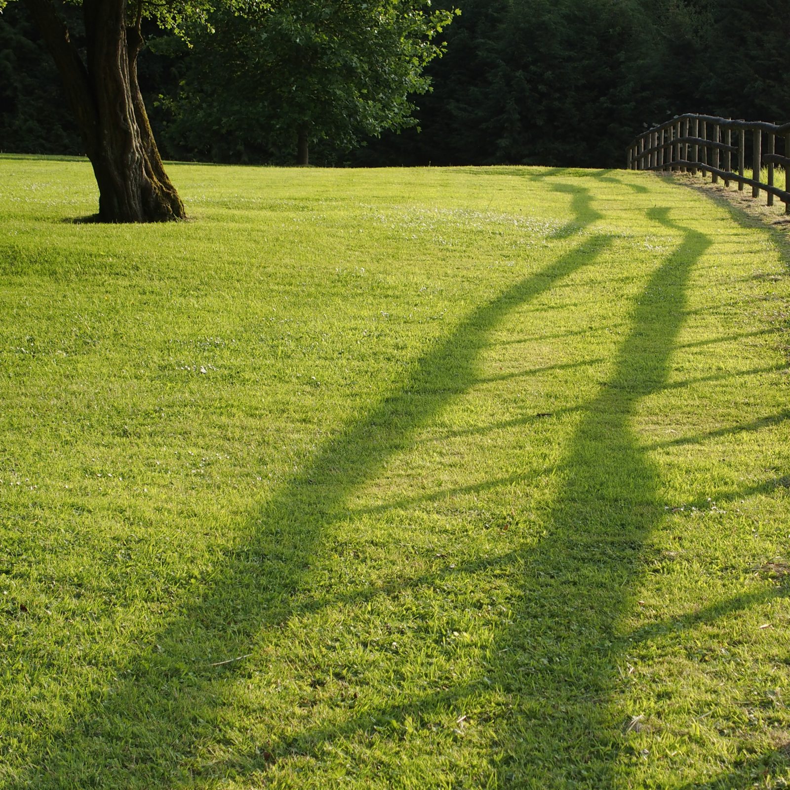 Shadows at Winchester