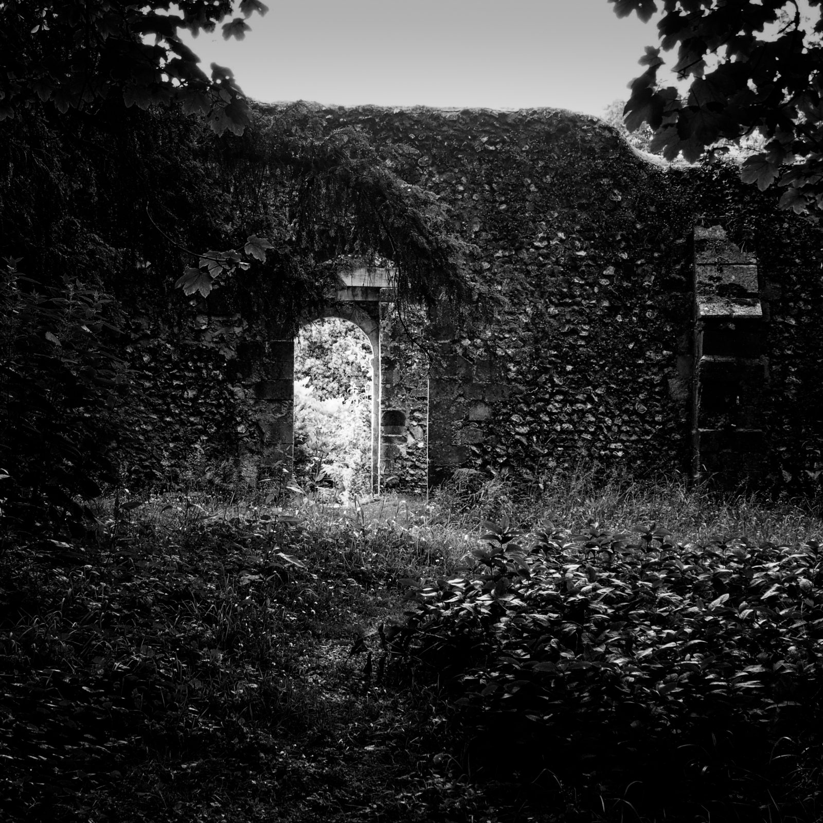 Open Entry at Loch Lomond