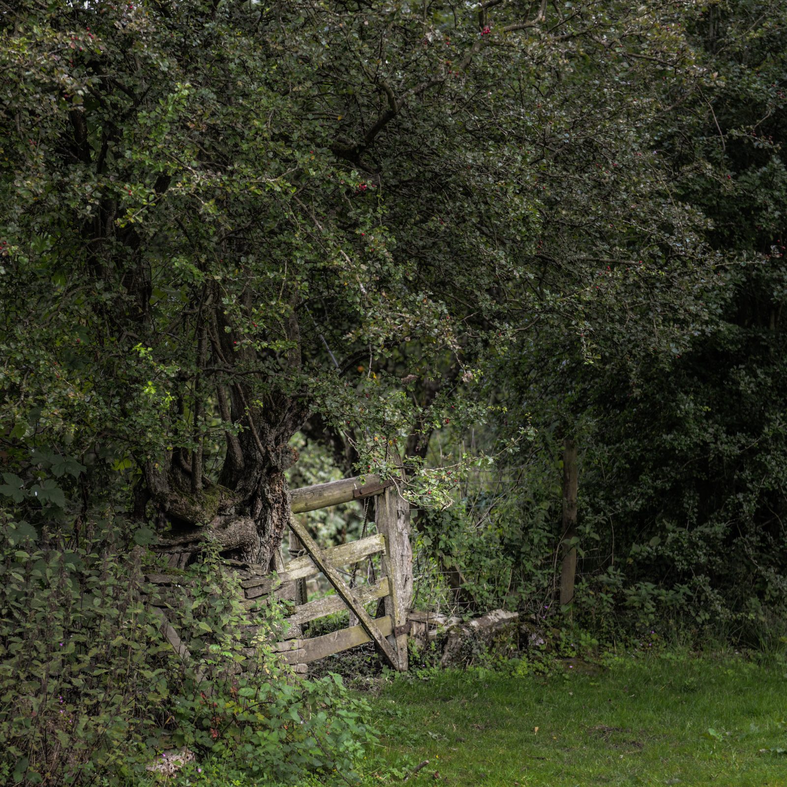 Country Gate in Wales