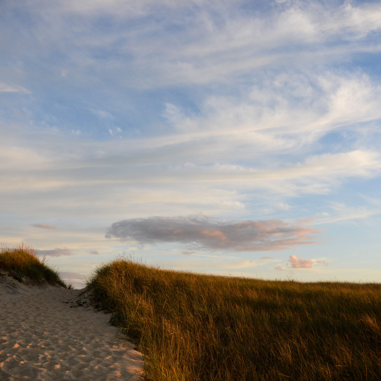 Dune and Sky