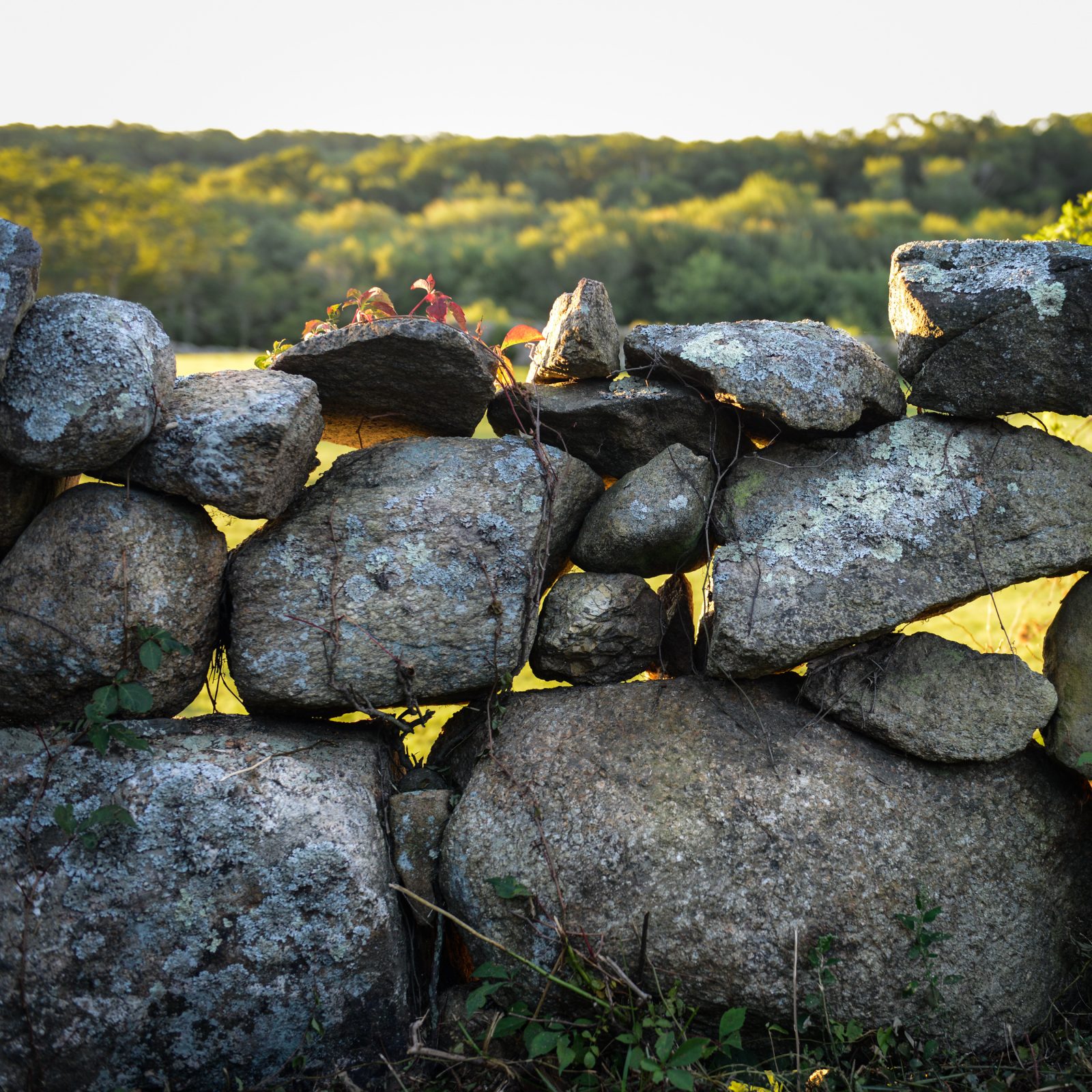 Chilmark Stones