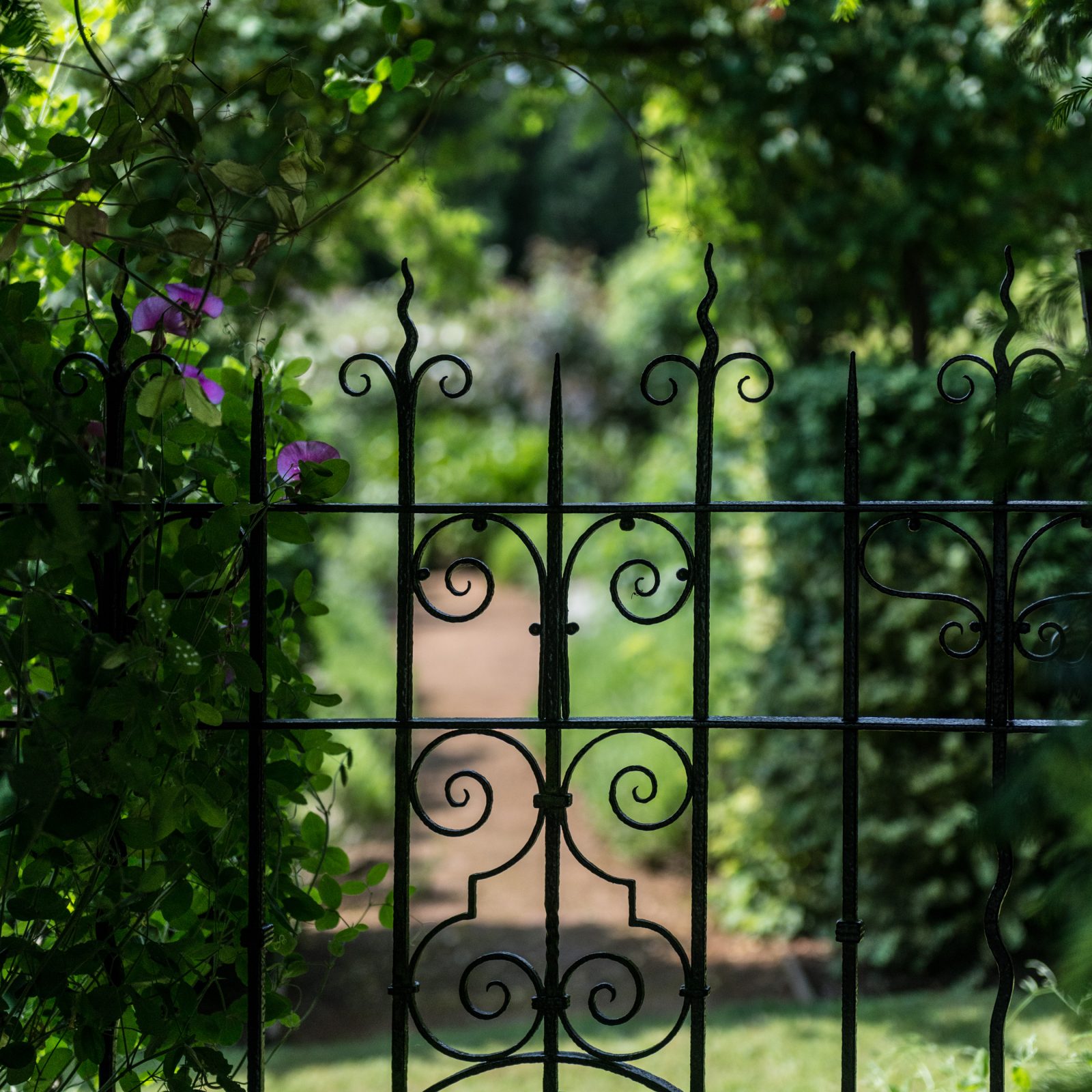English Garden Gate