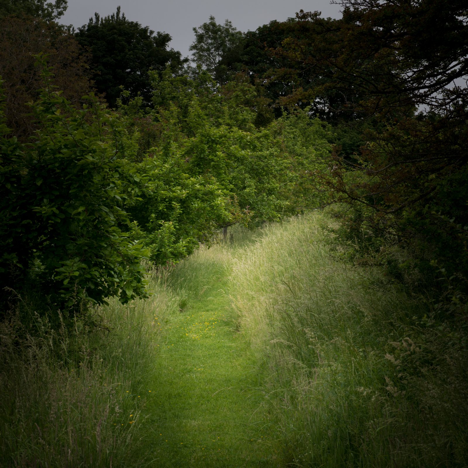 English Country Pathway