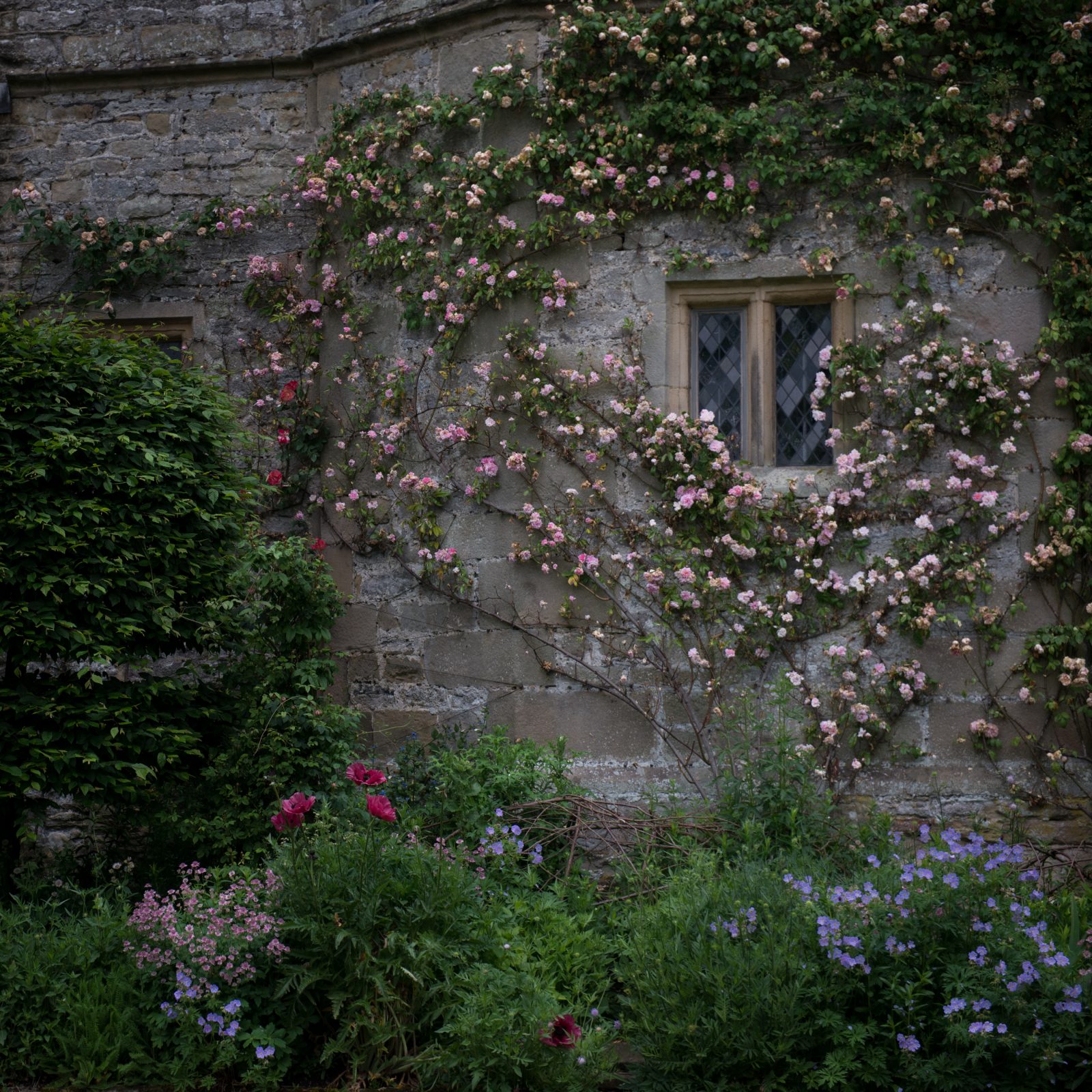 Through the Castle Windows