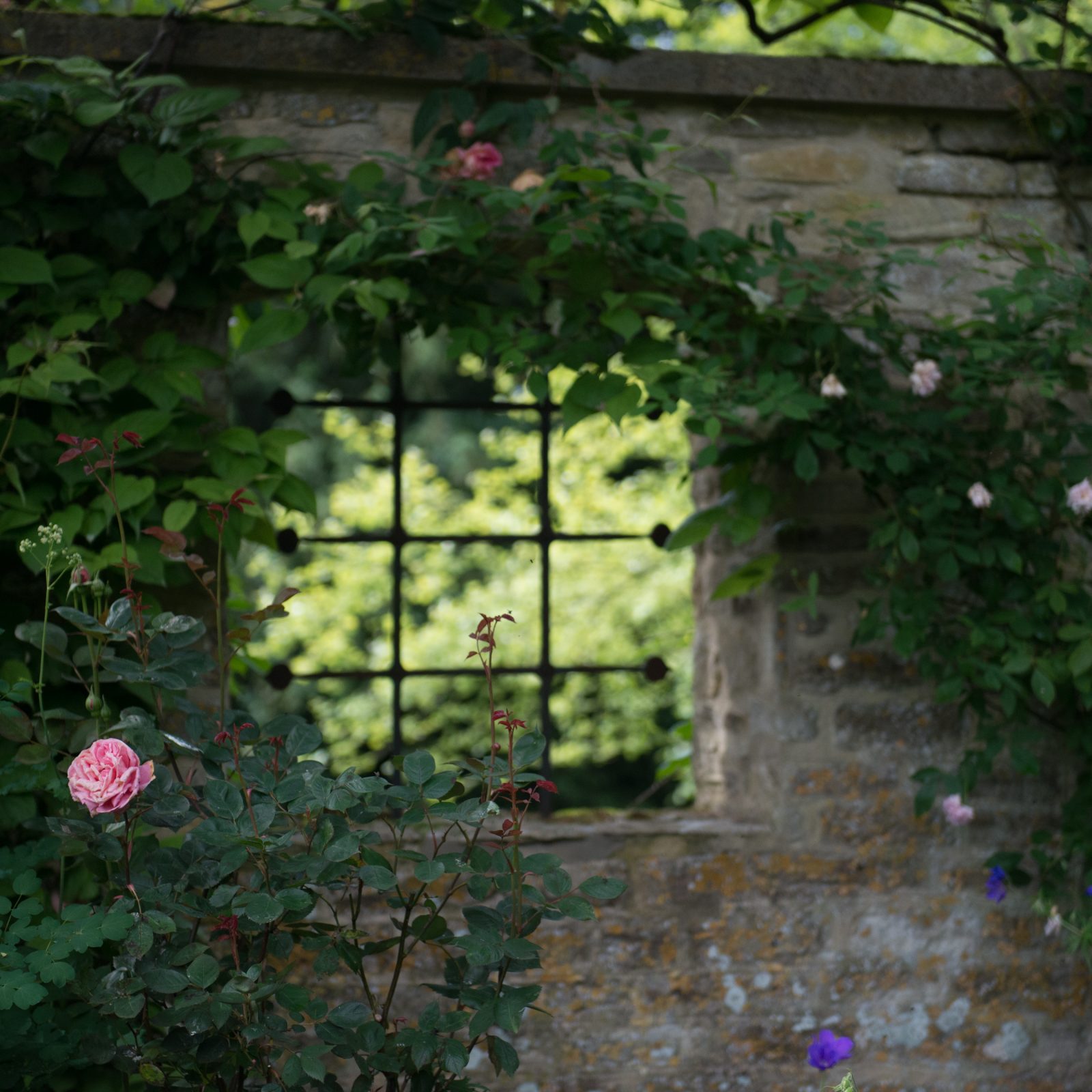 Window Through the Garden Wall