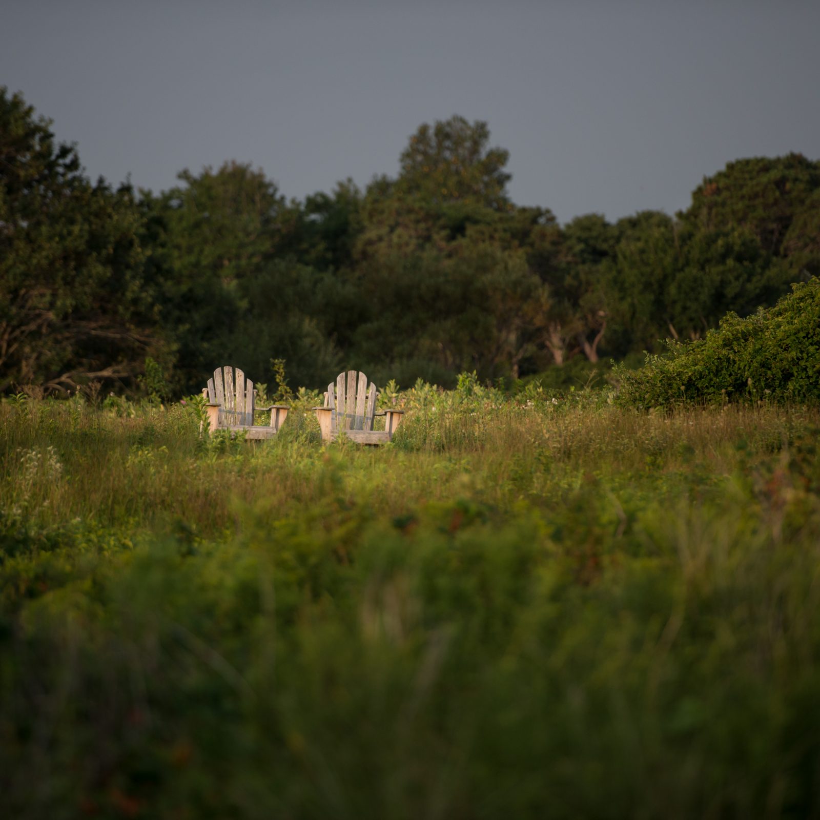 View from the Meadow