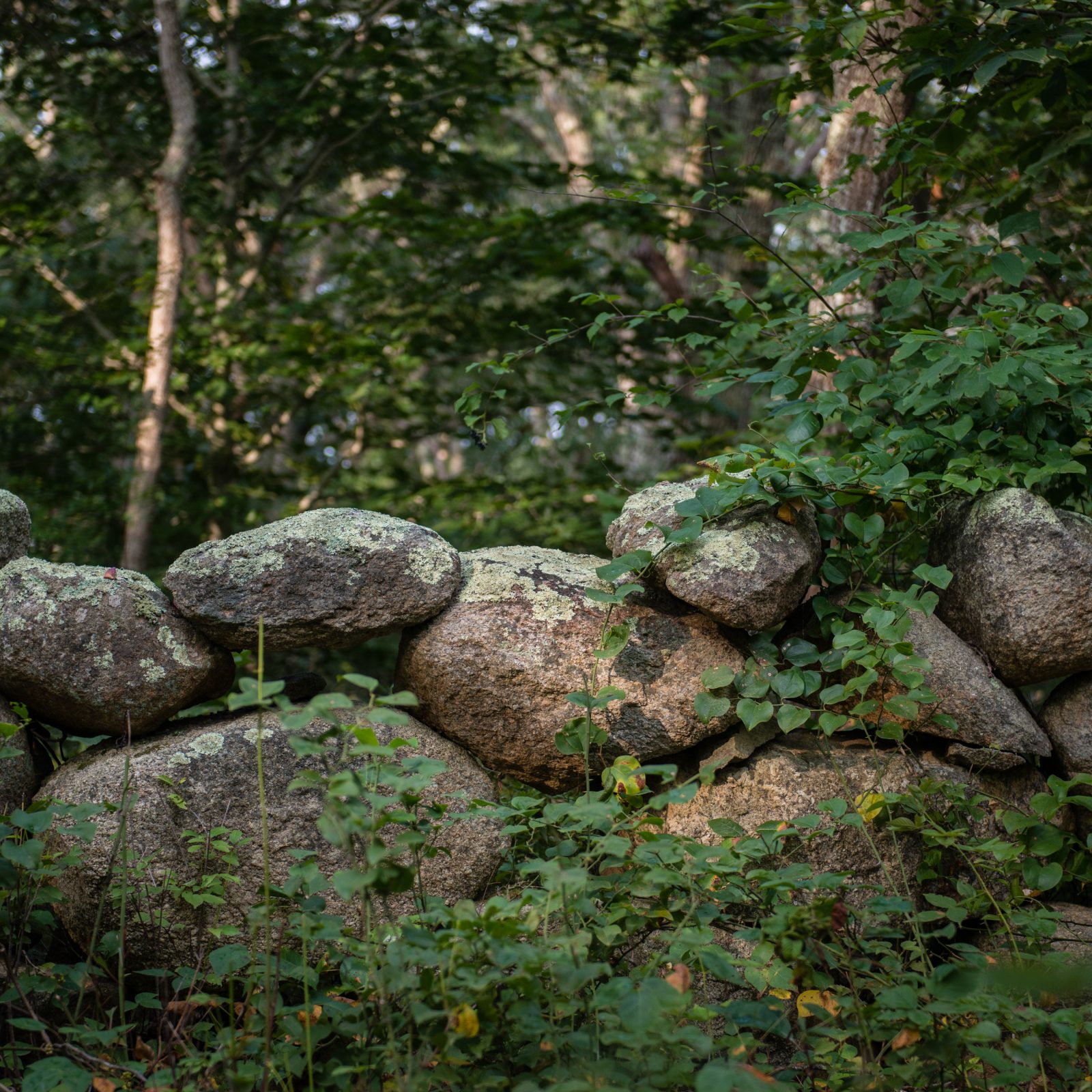 Chilmark Country Wall