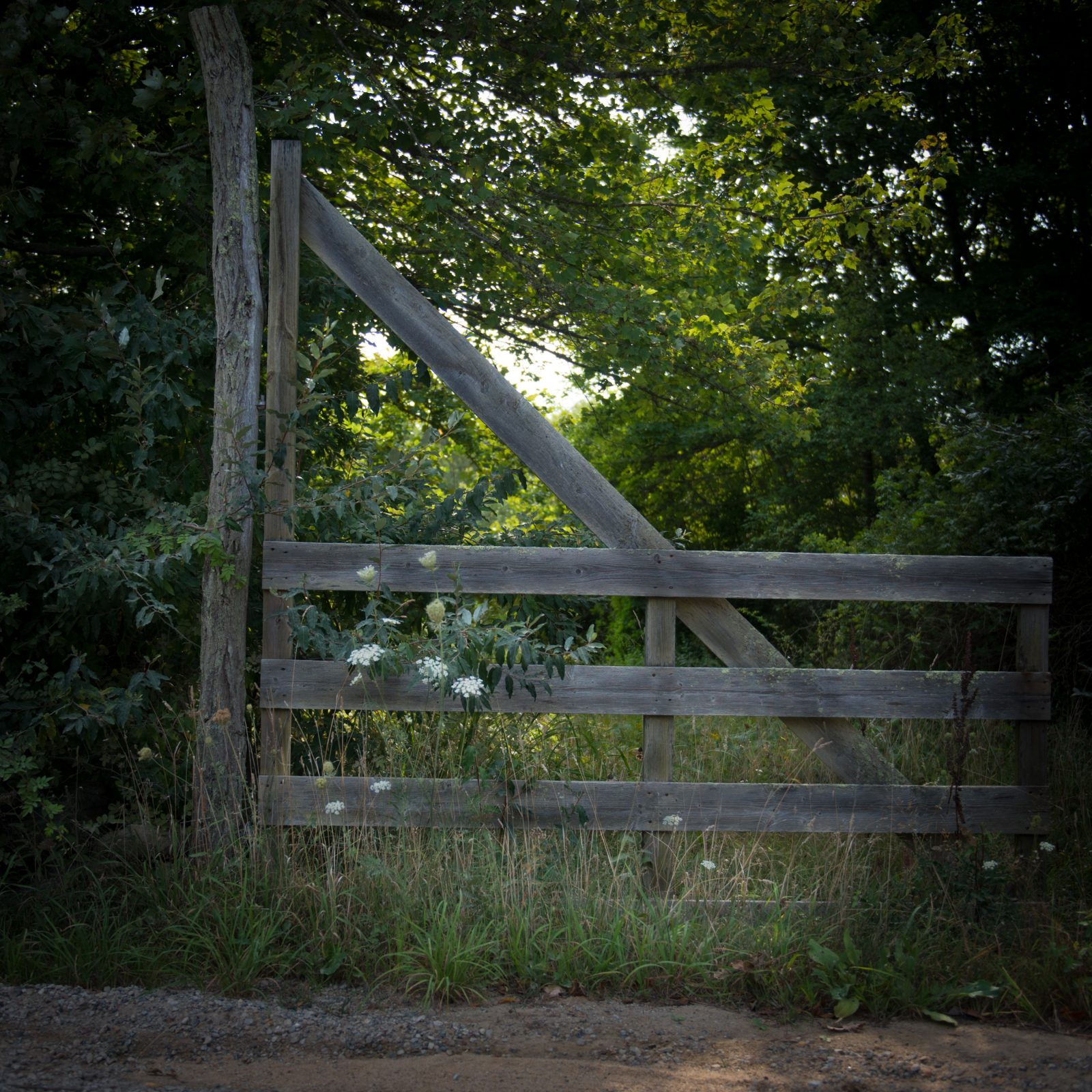 Vineyard Closed Gate