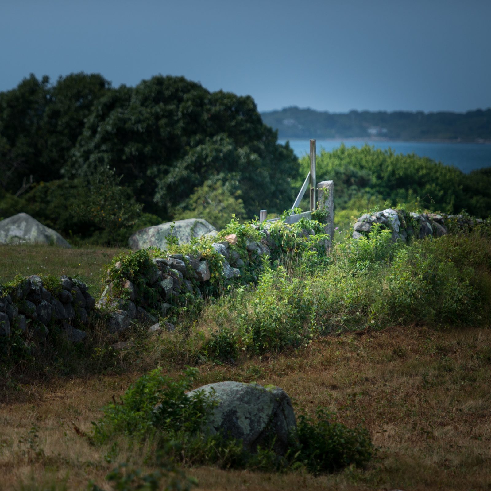 Menemsha Stone Wall