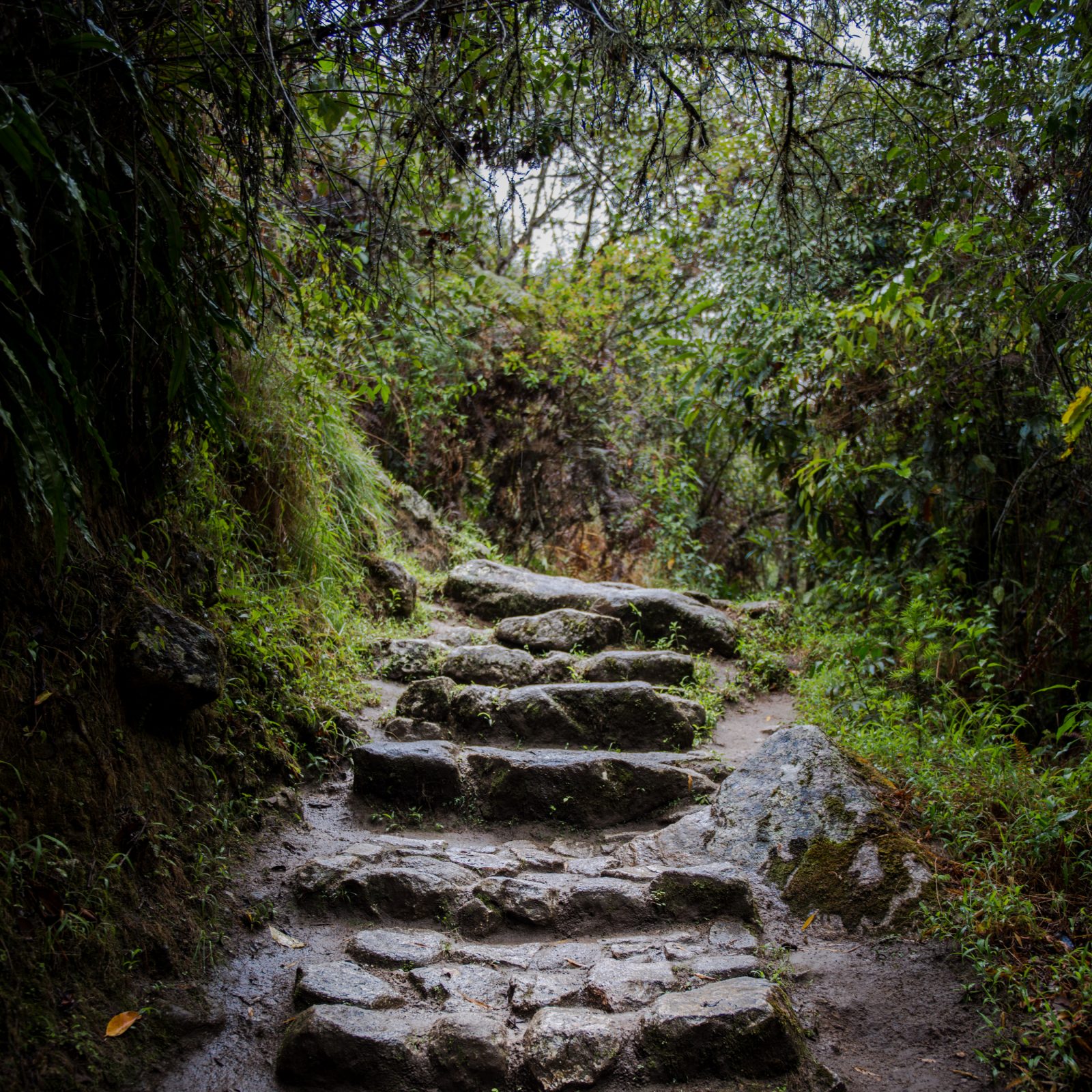 Steps to Machu Picchu