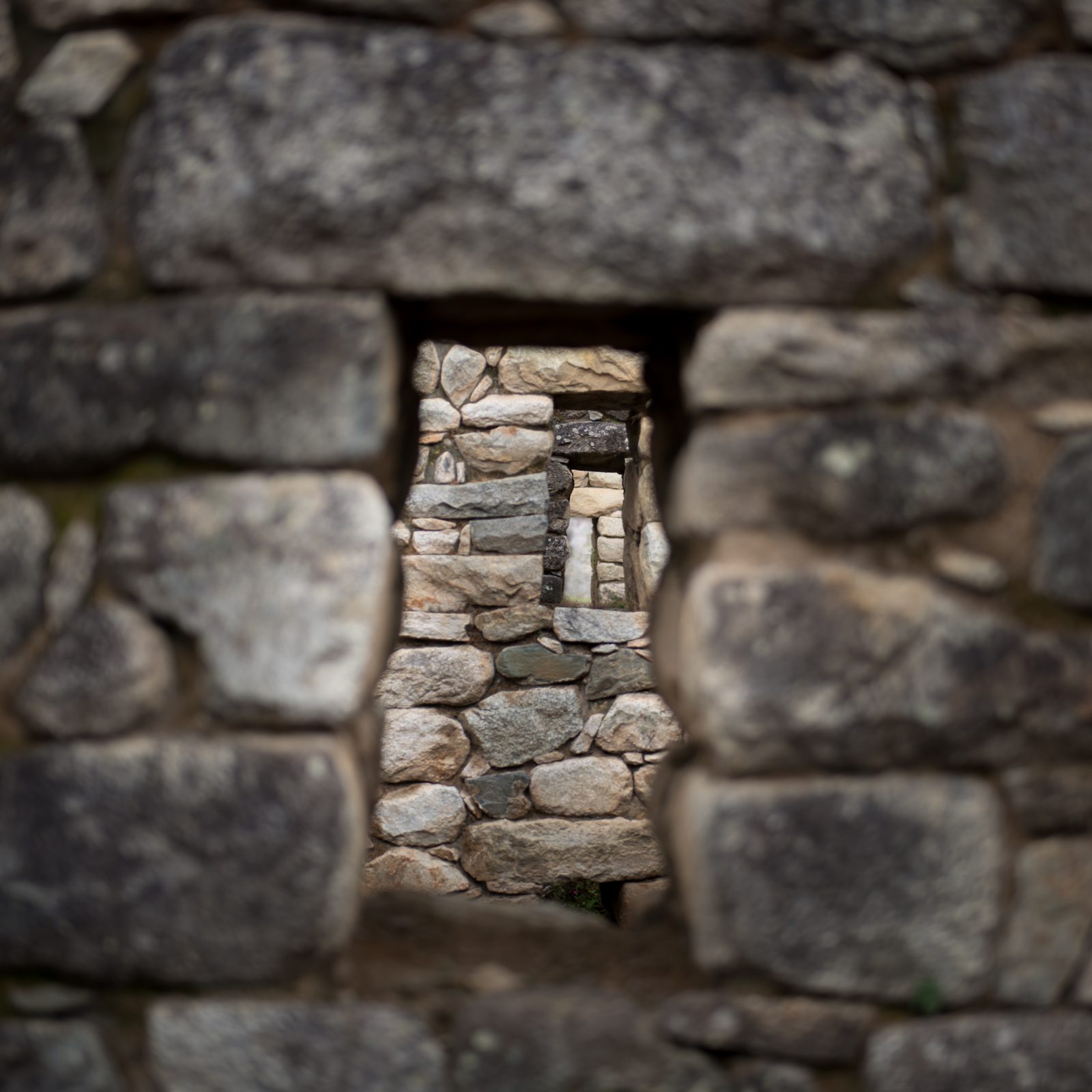 View Within View Within View…