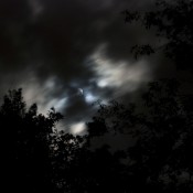 nocturnal-fog-night